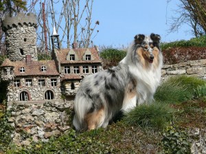 Ein Burgfräulein :-)