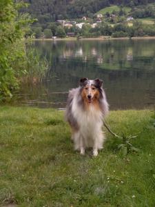 Ein Handy-Foto für FB ;-)