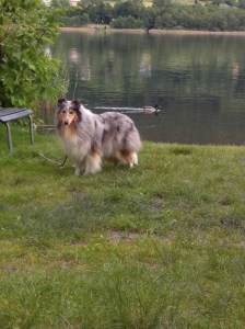 Die Ente ist gaaaaanz leise geschwommen!