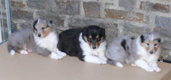 Worüber man sich so&nbsp;freut