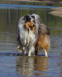 Liaison Ambassador Lenny 1