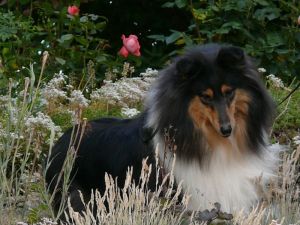 Lucie am 01.Juli 2014