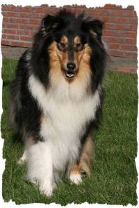 10603200_865225816822544_228441591620384161_n