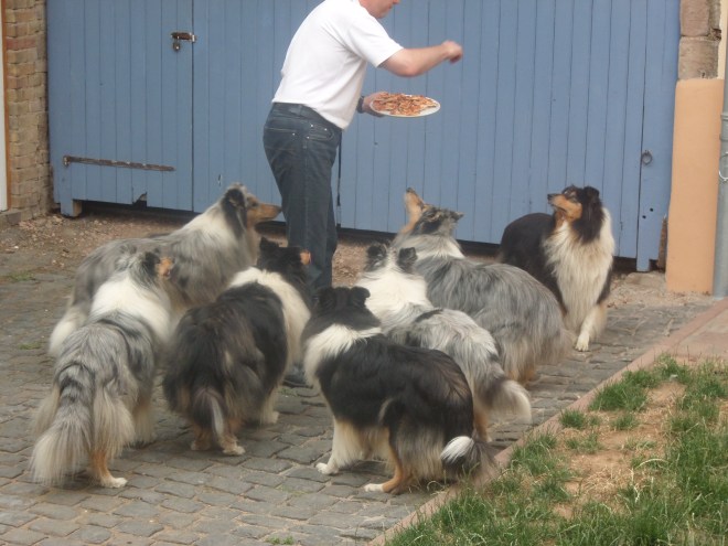 SAMSUNG CAMERA PICTURES