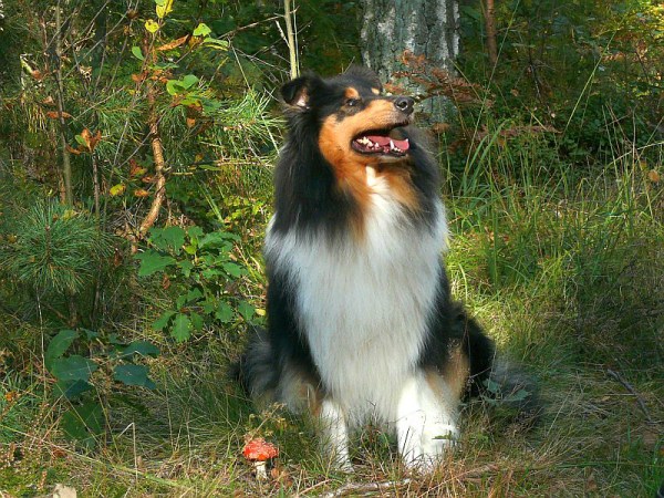 a-titelvelvette-inpaint